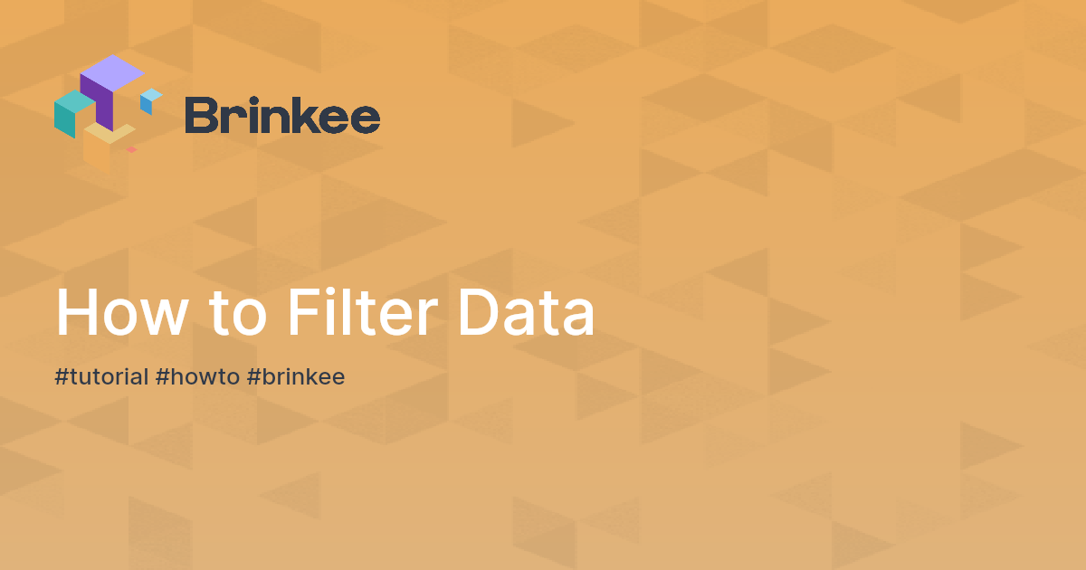 How to Filter Data | Brinkee